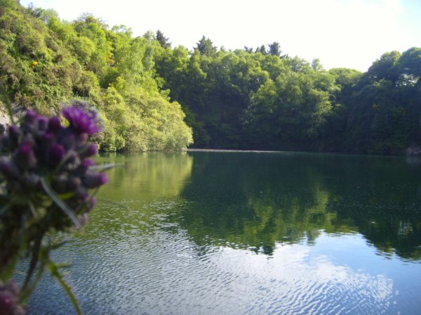 Carp Quarry lake